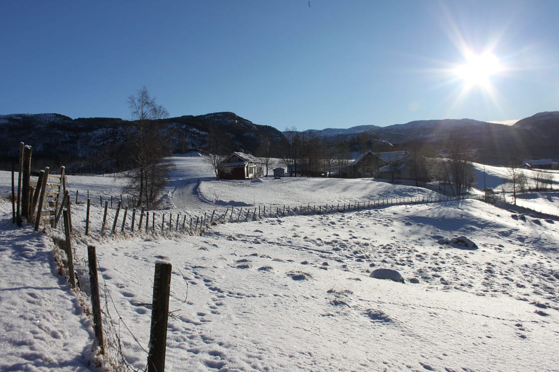 vinter