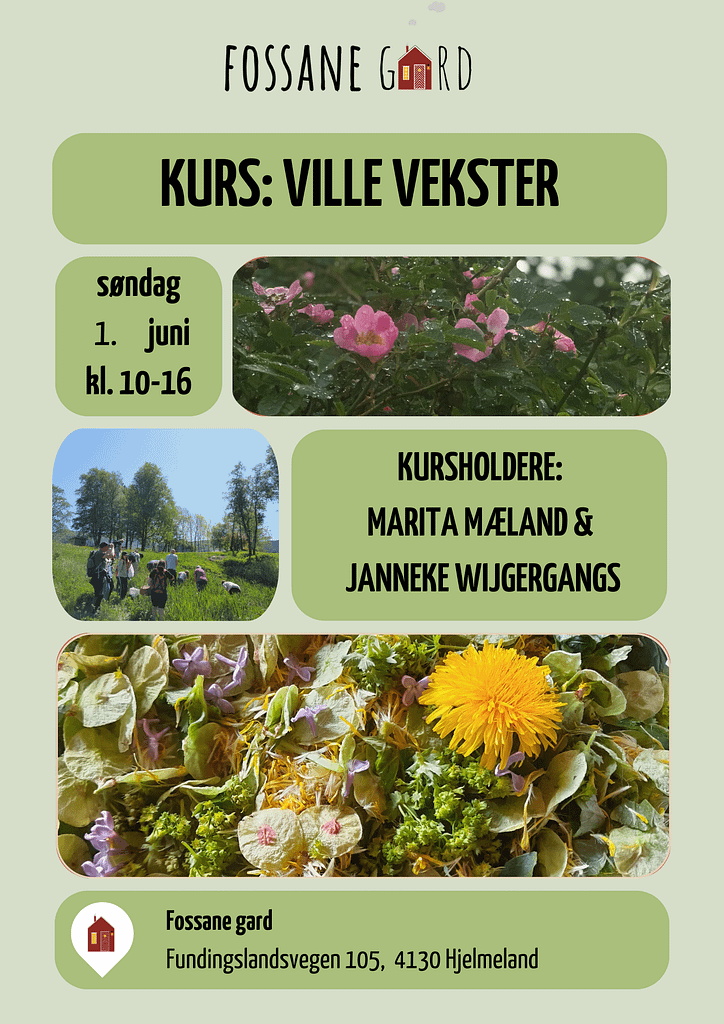 kurs Ville vekster