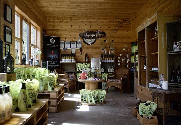 448926061_875809107905385_6193136139116643378_n Grønvik Gard