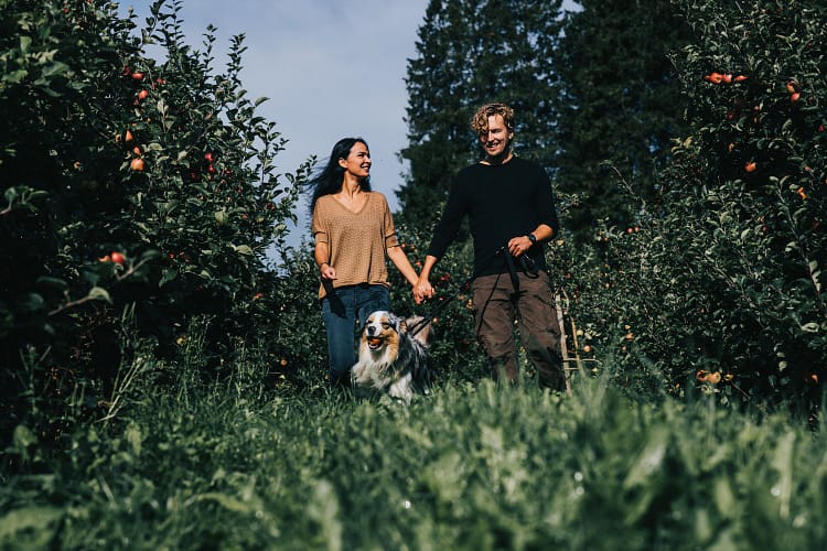 4P9A8907-kopi 4P9A8907-kopi