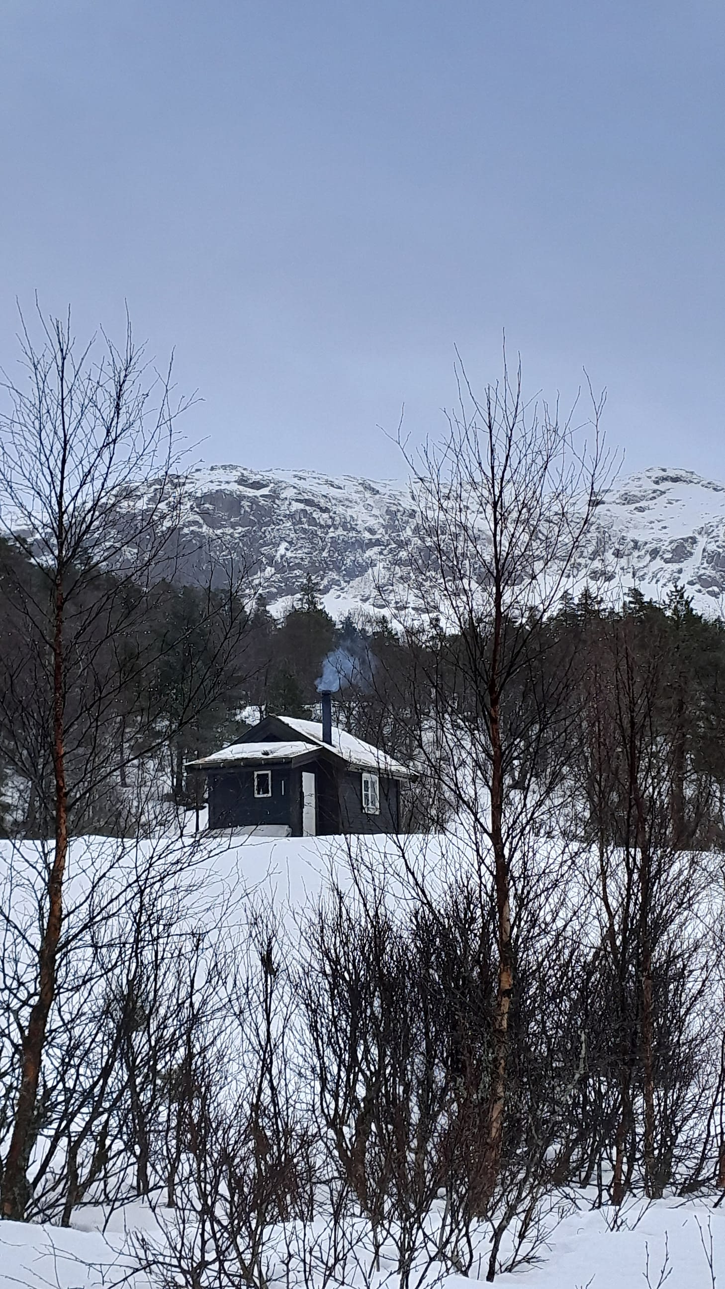 20240123_133834-Subbeli-vinter